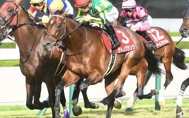 【カタール・アミールT】サトノグランツは昨年に続いて3着 レベルスロマンスが連覇