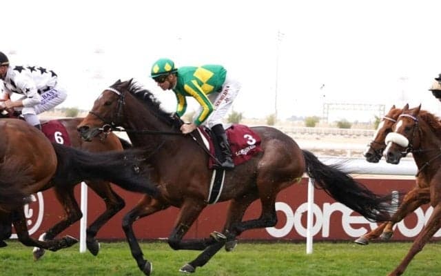 【海外競馬】日本のサトノグランツは今年も3着…アミールスウォードフェスティバル