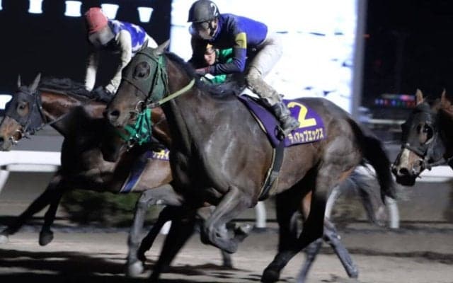 【高知・だるま夕日賞】9番人気ティアップエックスがVで波乱…ユメノホノオは2着