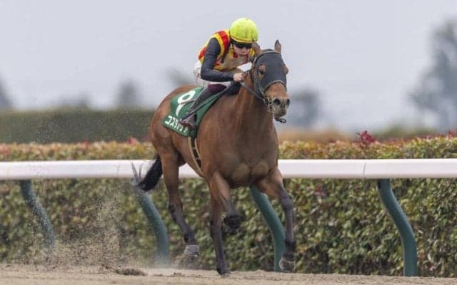 【フェブラリーS登録馬】コスタノヴァなど23頭…今年最初のJRA・G1