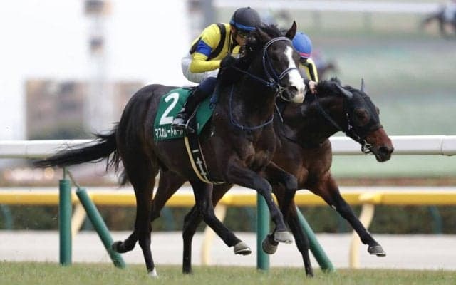 WIN5は2300万円超の払戻し…共同通信杯はマスカレードボールが快勝