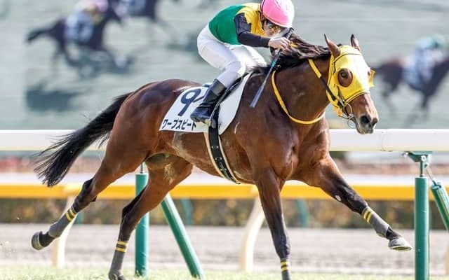 【ダイヤモンドS見どころ】好相性の東京で巻き返すワープスピード