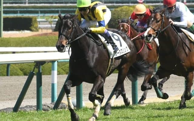 【阪急杯見どころ】決め手鋭いソーダズリングに期待