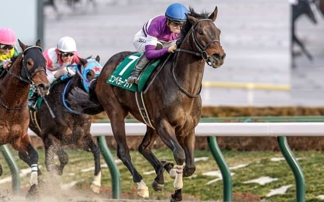 【フェブラリーS見どころ】GI初挑戦でもエンペラーワケアの成長力に期待