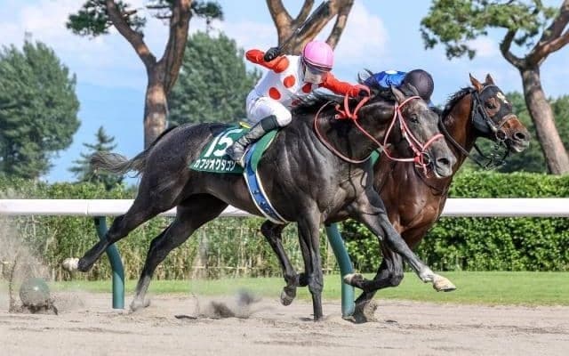 【先週のJRA抹消馬】22年レパードS覇者カフジオクタゴン、単発重賞の神奈川記念を制したヴィブラフォンなど