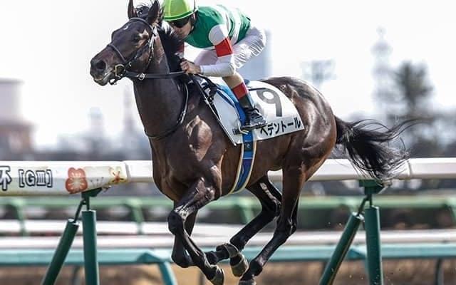 【ダイヤモンドS想定騎手】ヘデントールは戸崎圭太騎手、ワープスピードは横山武史騎手