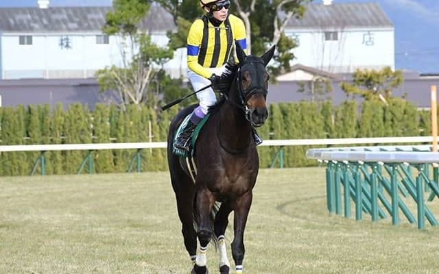 【阪急杯想定騎手】ソーダズリングは浜中俊騎手、ダノンマッキンリーは北村友一騎手
