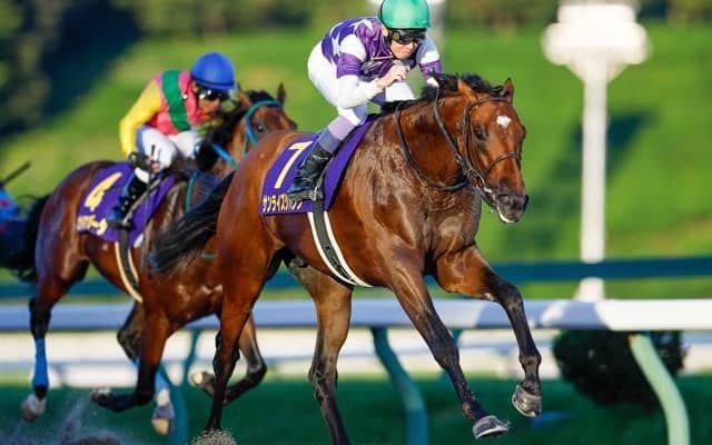 【AI予想・フェブラリーS】東京のダート重賞で実績を残す馬には注意！ 本命候補は重賞で実績豊富な3頭