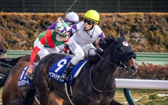 史上3頭目のフェブラリーS連覇へ 昨年GI初V挙げたコンビが今年も魅せるか