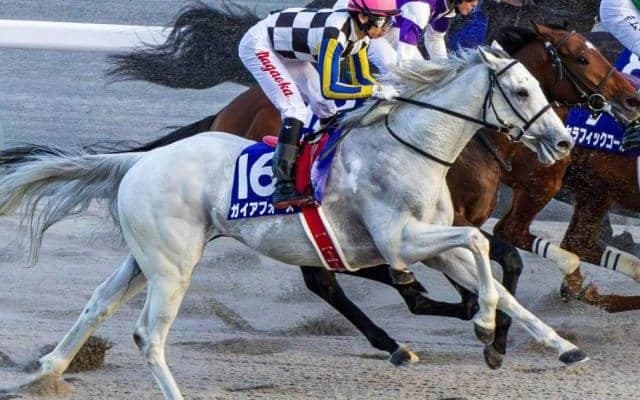 フェブラリーS史上初のダート未勝利馬Vへ 昨年2着の人馬が初GIタイトルを狙う