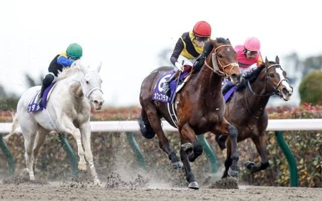 フェブラリーSの勝ち時計ランキング 史上2頭目の連覇飾った名馬が2度ランクイン