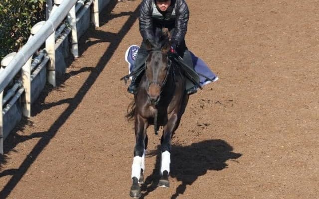 ミュージアムマイルなど、先週の入厩情報/栗東トレセンニュース