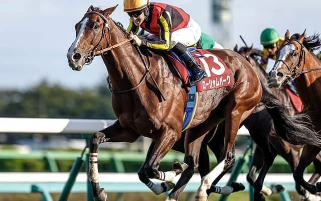 豪・クイーンエリザベスSにジオグリフとローシャムパークが予備登録