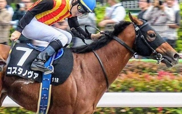 木村哲也調教師がダートGI初制覇へ 東京ダートは勝率100％の管理馬でフェブラリーSに挑戦