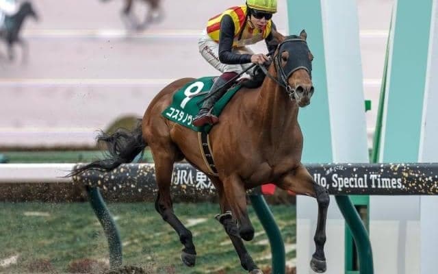 【フェブラリーS予想オッズ】コスタノヴァが予想1番人気