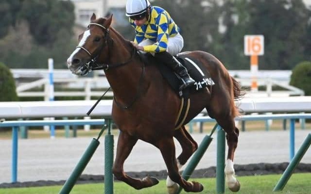 【阪急杯予想オッズ】フォーチュンタイムが予想1番人気