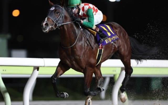 【大井・雲取賞注目馬】羽田盃と同舞台で争われる一戦 ダート三冠の主役候補に名乗り上げるのは