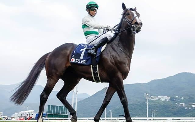 【中山記念想定】ソウルラッシュ、シックスペンスなど15頭