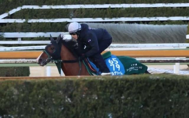 アルナシーム、中山記念1週前追い切り速報/栗東トレセンニュース