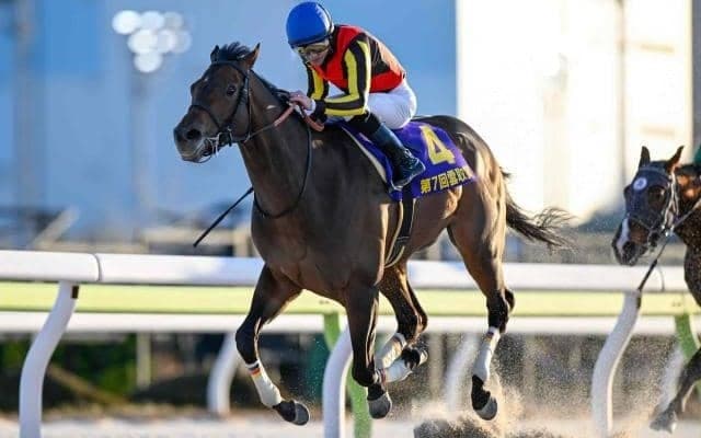 【大井・雲取賞結果】ジャナドリアが無傷3連勝で重賞初制覇！