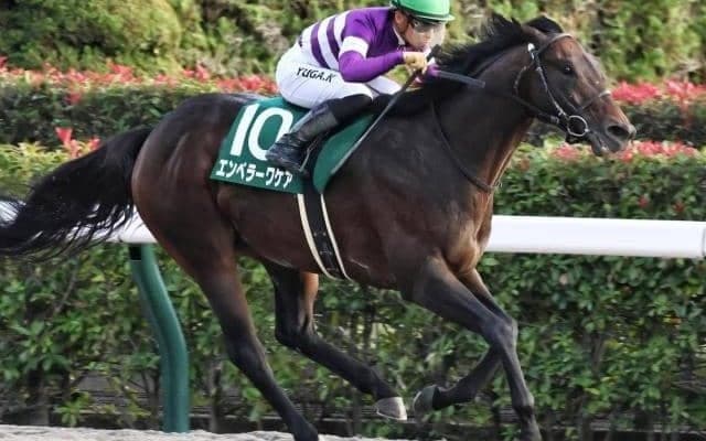 ダートの連対率は100％ 期待のロードカナロア産駒がGI初制覇目指しフェブラリーS参戦