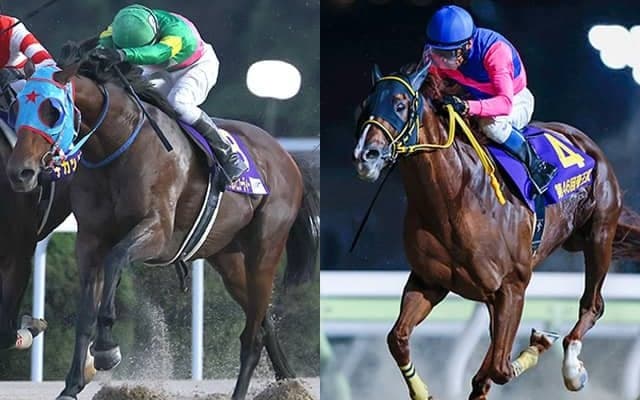 フェブラリーS史上最高齢Vへ JpnI覇者の古豪2頭が歴史を変えるか