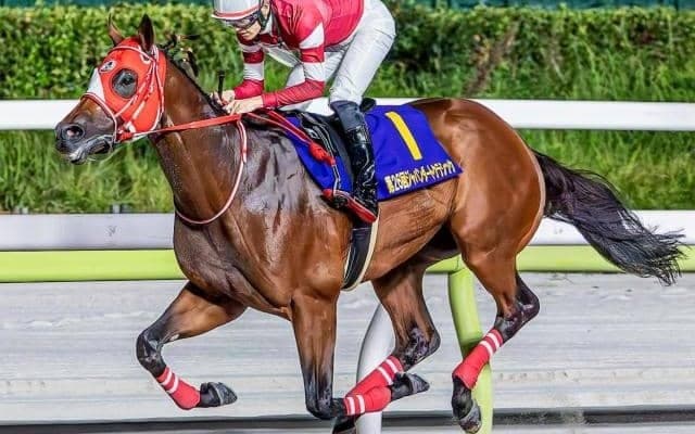 日本最強ダート馬フォーエバーヤング サウジCで待望の海外G1初制覇狙う