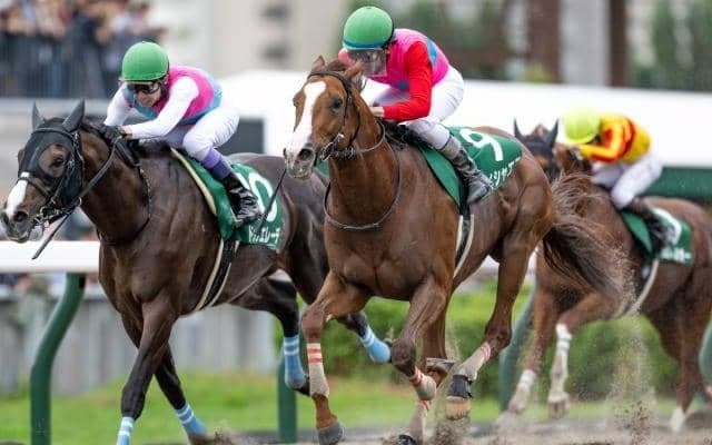 【フェブラリーS予想】上半期のダート王決定戦 先週推奨馬が快勝した絶好調AIが挙げた伏兵とは