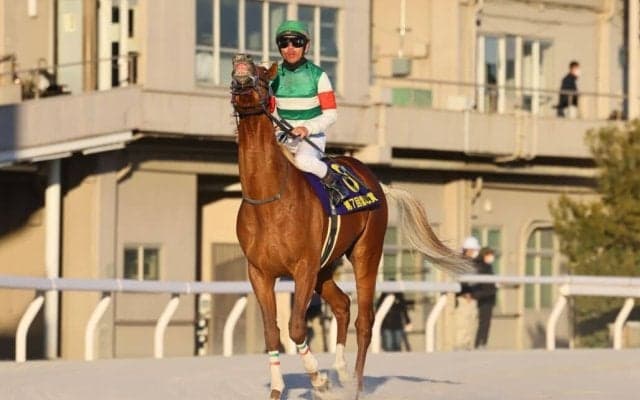 【雲取賞】戸崎「課題がある中で頑張ってくれた」グランジョルノはしぶとく伸びて2着