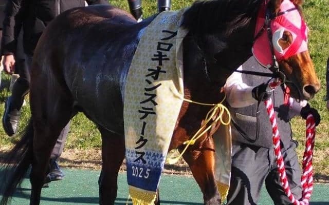 スズカコーズウェイ産駒初のGI制覇なるか プロキオンS覇者がフェブラリーSに参戦