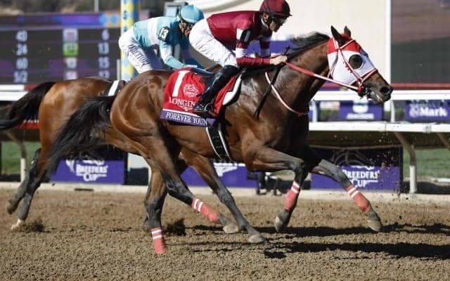 【サウジC枠順】フォーエバーヤングは14番ゲート、ロマンチックウォリアーは3番ゲート