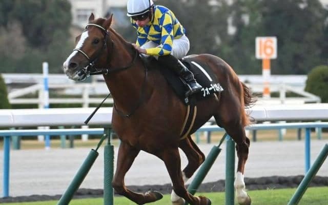 【阪急杯出走馬・騎手確定】フォーチュンタイム＆岩田望来騎手、ダノンマッキンリー＆北村友一騎手など18頭