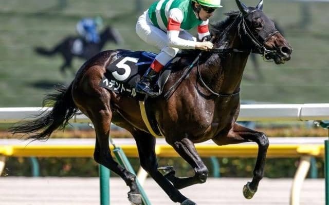 【ダイヤモンドS出走馬・騎手確定】ヘデントール＆戸崎圭太騎手、ワープスピード＆横山武史騎手など16頭