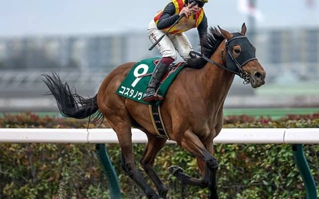 【フェブラリーS・調教後馬体重】コスタノヴァは499kg、ミッキーファイトは562kg