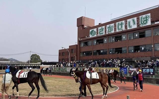 【佐賀・たんぽぽ賞結果】JRAのエイヨーアメジストが6馬身差圧勝！