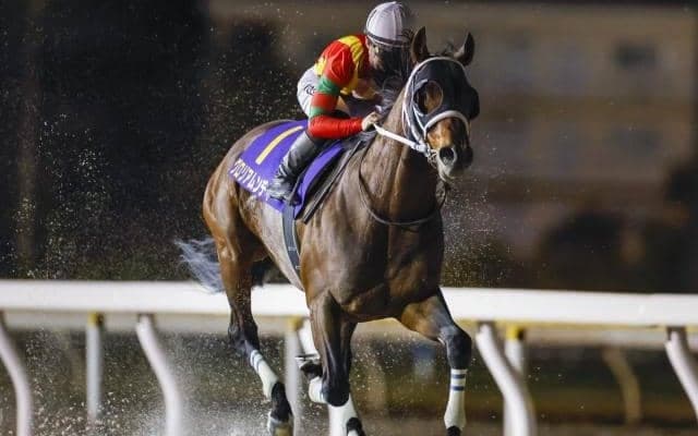 グロリアムンディが登録抹消、地方移籍へ 23年にダイオライト記念と平安S制す