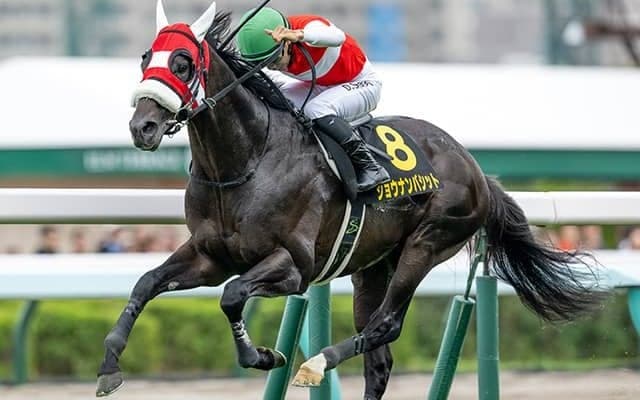 JRA重賞馬の史上最高額更新へ 2.6億円シルバーステート産駒がダイヤモンドSに参戦