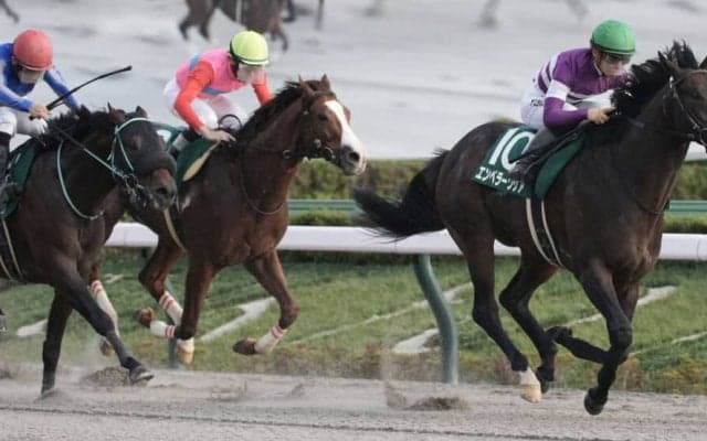 【フェブラリーS】エンペラーワケアはプラス14kg…調教後の馬体重