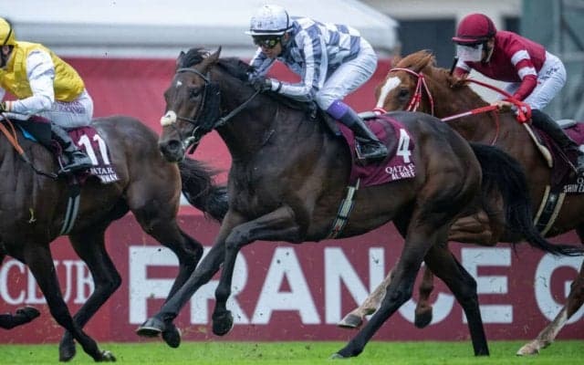 【武豊日記】サウジアラビアに遠征します