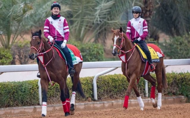 【サウジカップ】フォーエバーヤングは14番ゲートへ…日本馬4頭出走