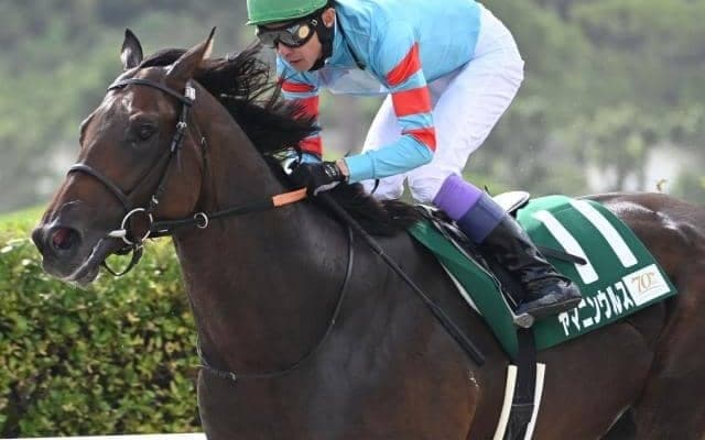 【小倉大賞典枠順確定】ヤマニンウルスは7枠11番、エピファニーは5枠7番