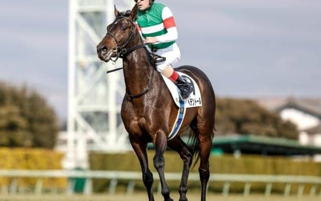 【ダイヤモンドS枠順確定】ヘデントールは4枠8番、ワープスピードは1枠1番