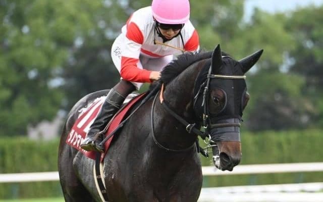 【阪急杯枠順確定】ダノンマッキンリーは8枠17番、フォーチュンタイムは4枠8番