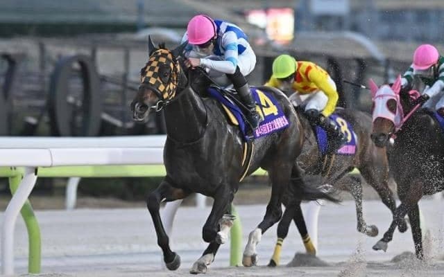 【浦和・ユングフラウ賞枠順】地方2歳女王のプラウドフレールは8枠12番