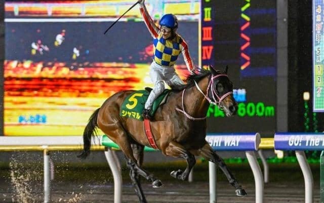 【名古屋・かきつばた記念枠順】重賞7勝目狙うシャマルは5枠5番、昨年の京浜盃覇者サントノーレは4枠4番