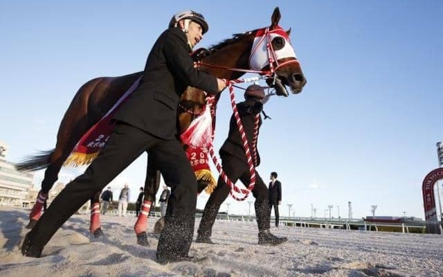 【サウジCオッズ】ブックメーカーでフォーエバーヤングが1番人気 香港のロマンチックウォリアーが続く