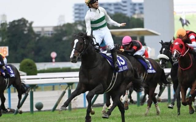 【中山記念想定馬・騎手】ソウルラッシュ、シックスペンスなど17頭