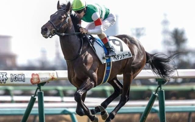 【ダイヤモンドS予想】特殊な条件で波乱の可能性も十分！ 厳寒期は前走からの間隔がポイント