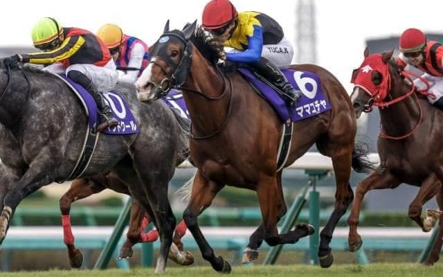 【オーシャンS想定馬・騎手】ママコチャ、ユティタムなど16頭