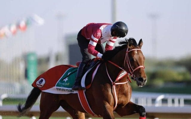 【サウジカップ】矢作師「とても良い状態」…フォーエバーヤングなど日本馬4頭が出走